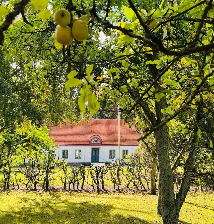 Aespoegarden Bed & Breakfast Klagstorp Ngoại thất bức ảnh