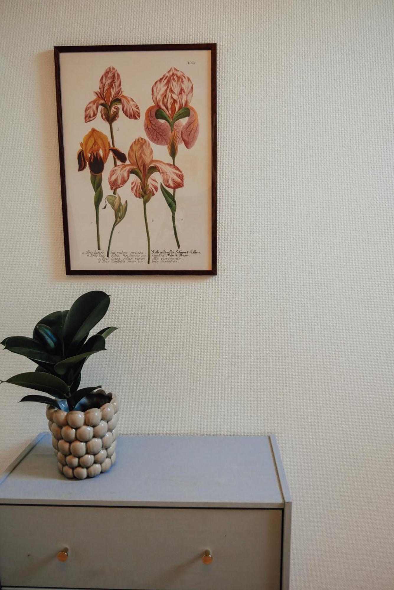 Aespoegarden Bed & Breakfast Klagstorp Ngoại thất bức ảnh